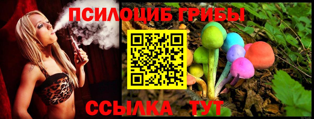 Псилоцибиновые грибы Cubensis Семилуки